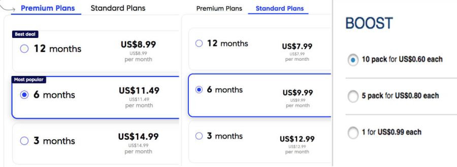 Match.com pricing