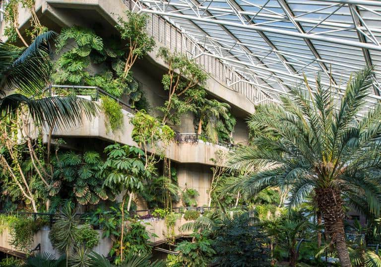 Barbican Conservatory